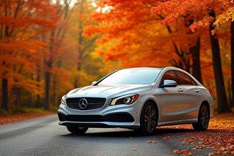 Car with fall leaves background, implying seasonal care